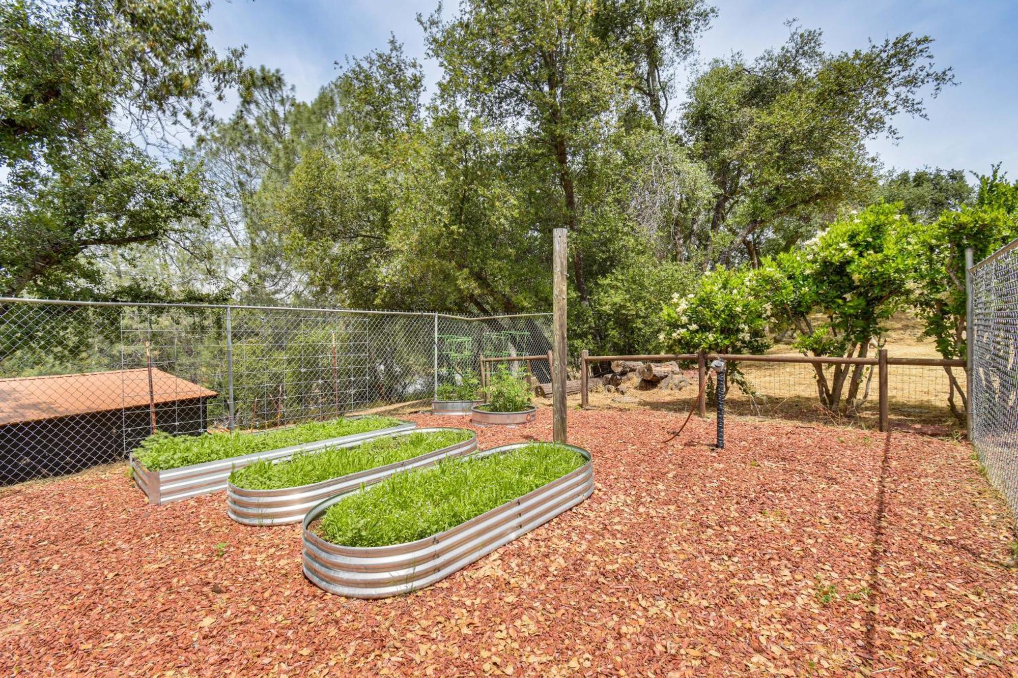 شقة Yosemite Wellbeing Retreat On 5 Acres With Mtn Views أهواهني المظهر الخارجي الصورة